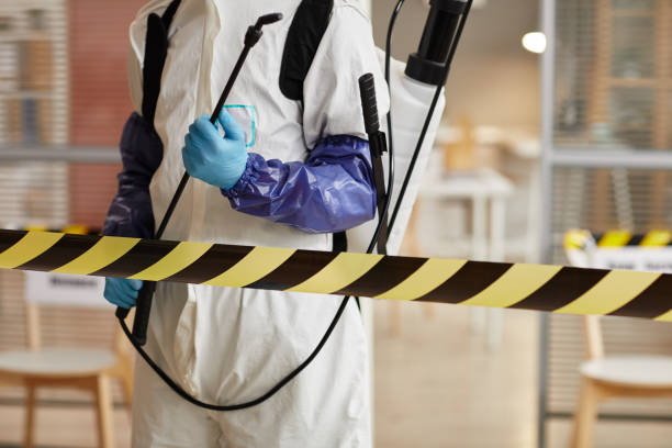 Professional Biohazard technician working in Lena, IL